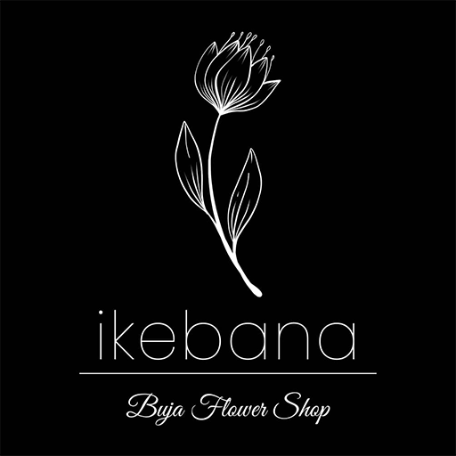 ikebanabuja.com